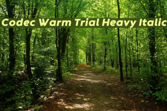 Codec Warm Trial Heavy Italic Example 2