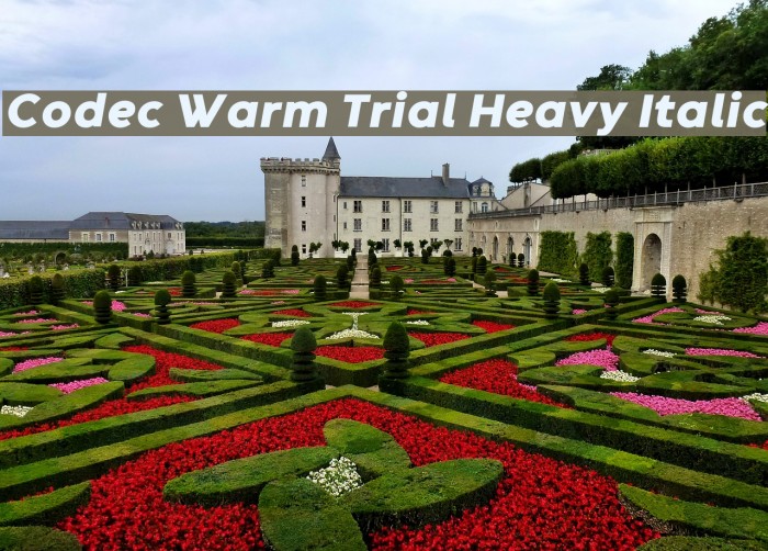 Codec Warm Trial Heavy Italic Font examples