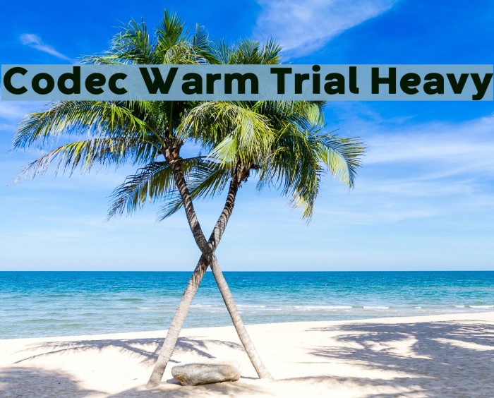 Codec Warm Trial Heavy Font examples