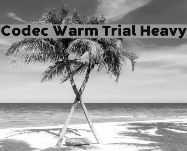 Codec Warm Trial Heavy Font examples