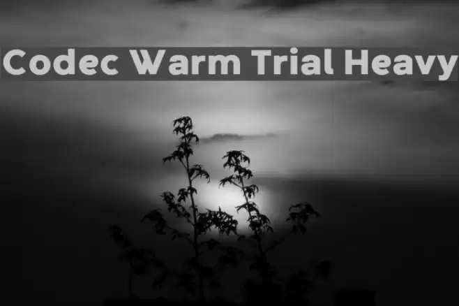 Codec Warm Trial Heavy Font examples