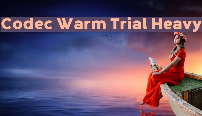 Codec Warm Trial Heavy Font examples