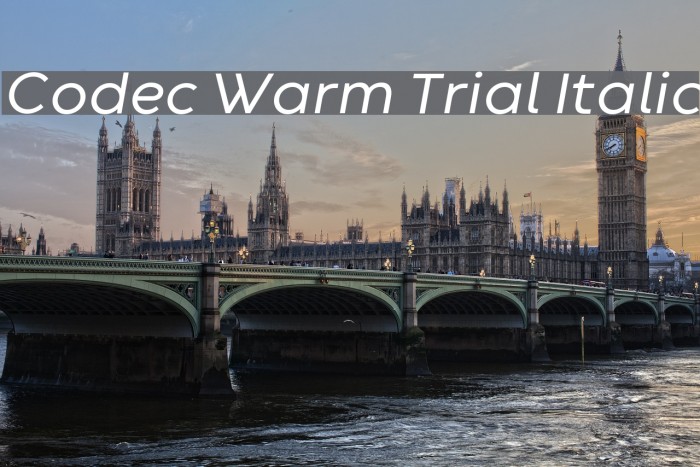 Codec Warm Trial Italic Font examples
