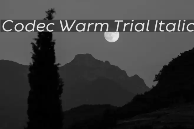 Codec Warm Trial Italic Font examples