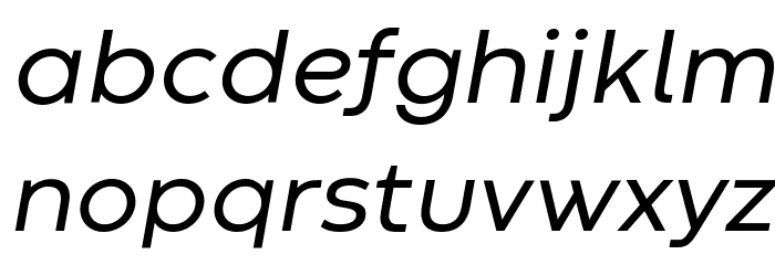 Codec Warm Trial Italic Font LOWERCASE