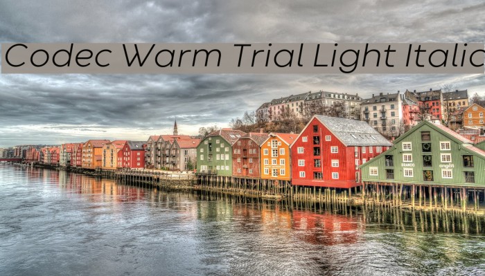 Codec Warm Trial Light Italic Font examples
