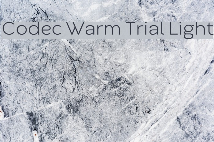 Codec Warm Trial Light Font examples