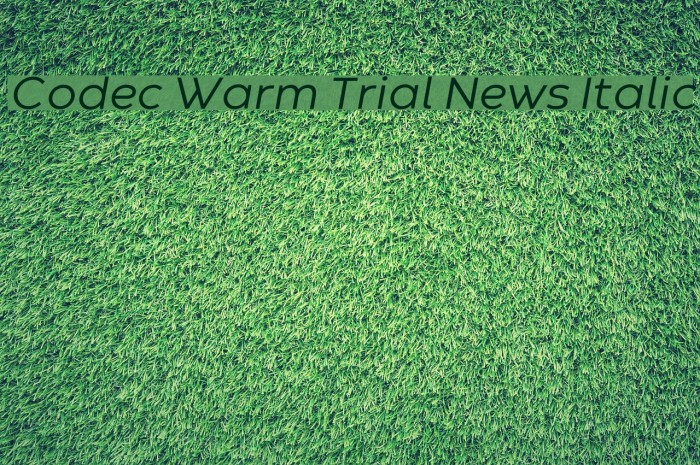 Codec Warm Trial News Italic Font examples