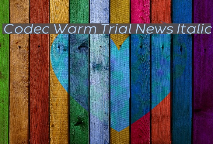 Codec Warm Trial News Italic Font examples