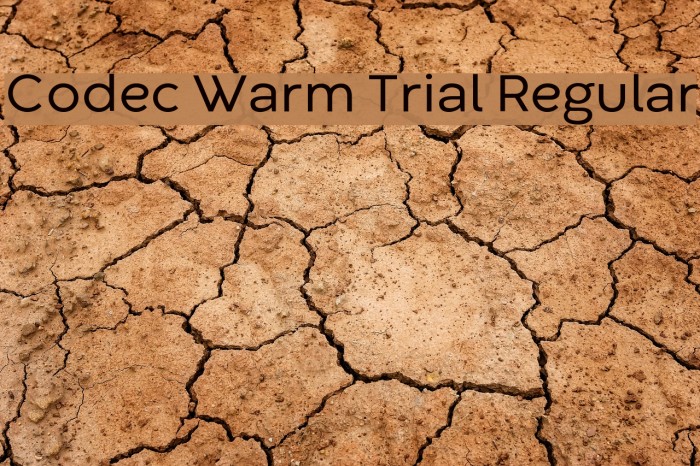 Codec Warm Trial Regular Font examples