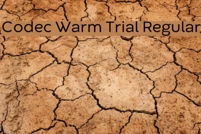 Codec Warm Trial Regular Example 1