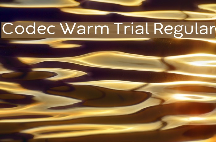 Codec Warm Trial Regular Font examples