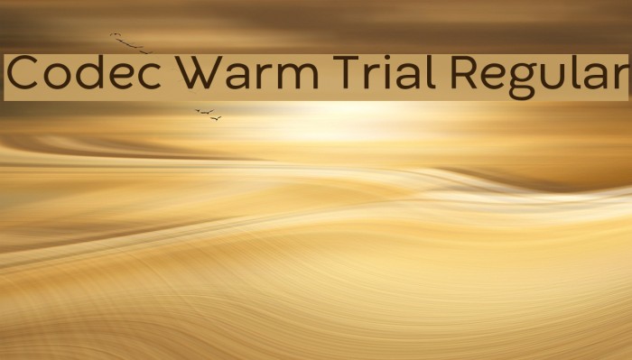 Codec Warm Trial Regular Font examples