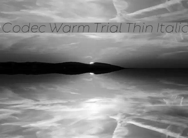 Codec Warm Trial Thin Italic Font examples