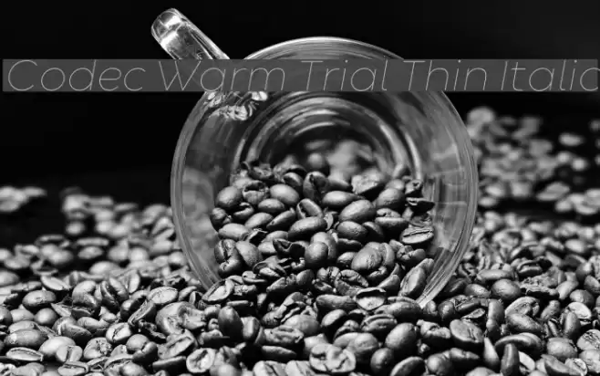 Codec Warm Trial Thin Italic Font examples