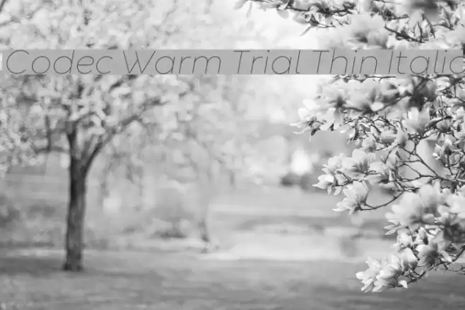 Codec Warm Trial Thin Italic Font examples