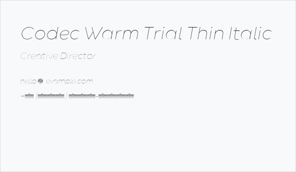 Codec Warm Trial Thin Italic Business Card