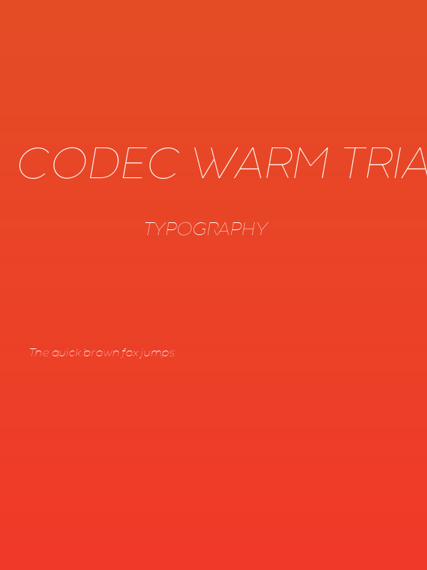 Codec Warm Trial Thin Italic Poster