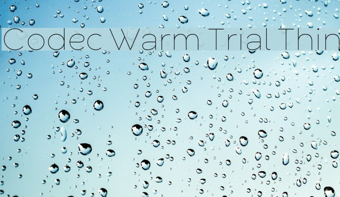 Codec Warm Trial Thin Font examples