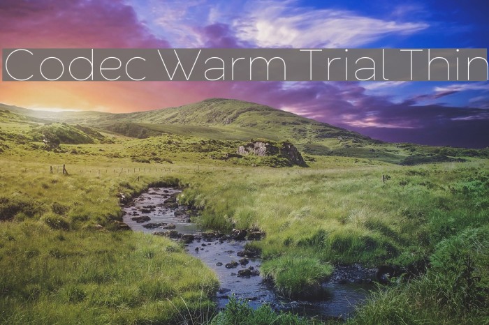 Codec Warm Trial Thin Font examples