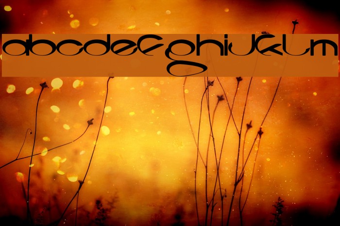 Codeca Font examples