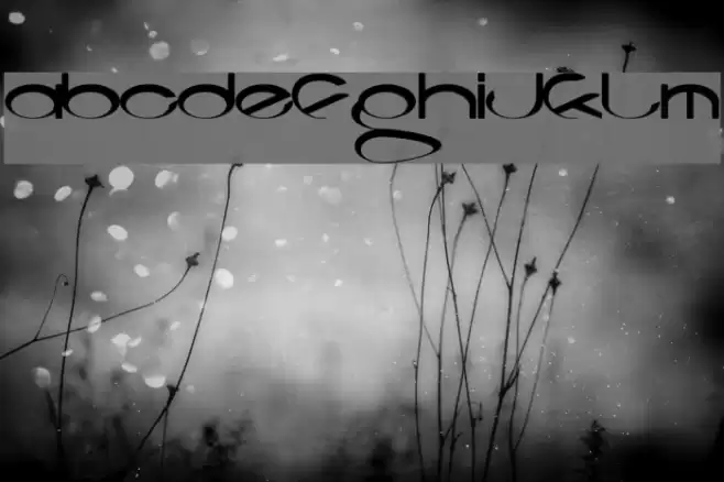 Codeca Font examples