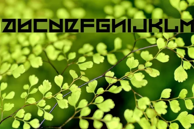 Coded Message Example 3