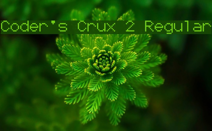 Coder's Crux 2 Regular 字体 examples