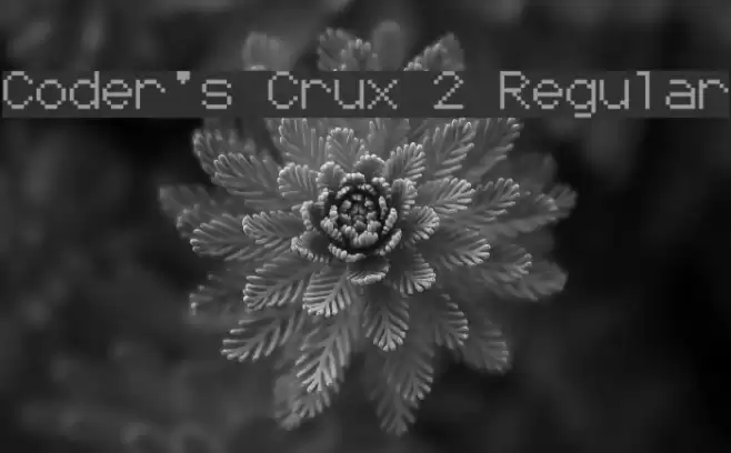 Coder's Crux 2 Regular Font examples
