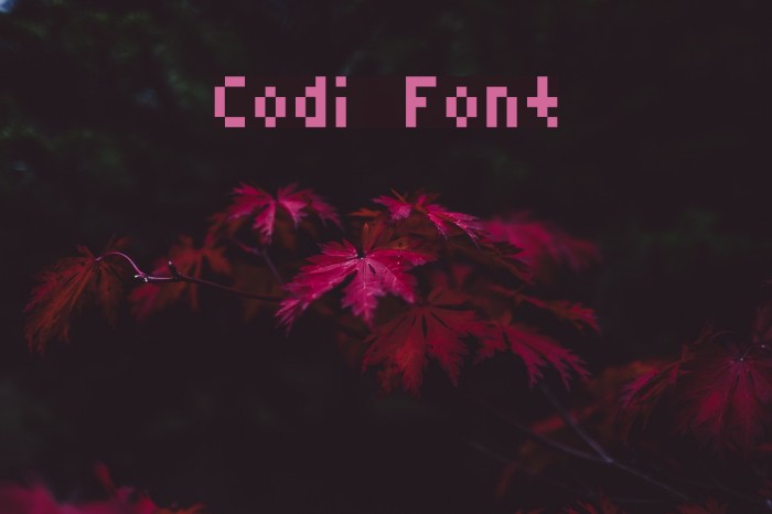 Codi Font examples