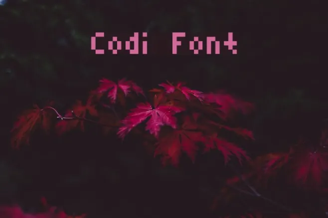 Codi Example 2