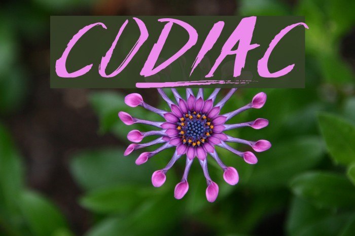 Codiac Font examples