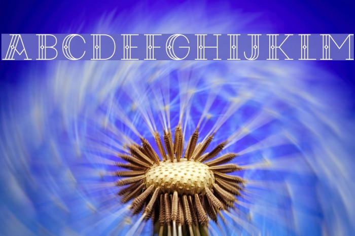 CodianOctoberNine Font examples
