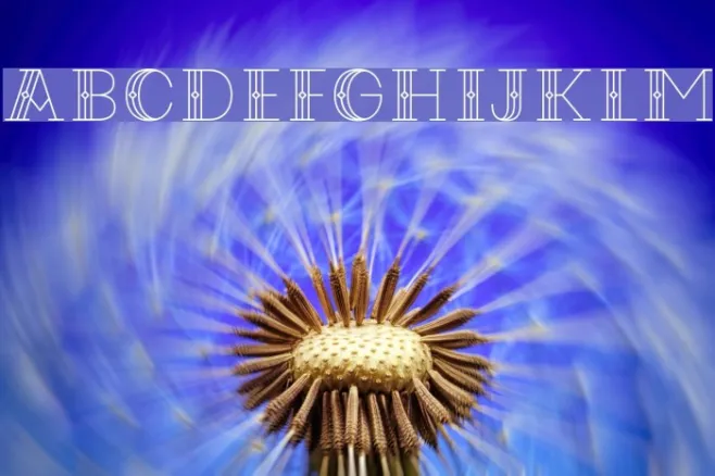 CodianOctoberNine Example 1