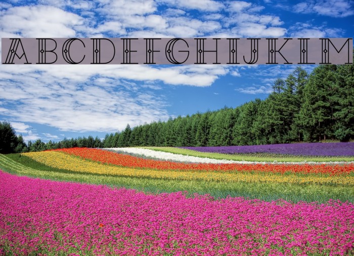 CodianOctoberNine Font examples