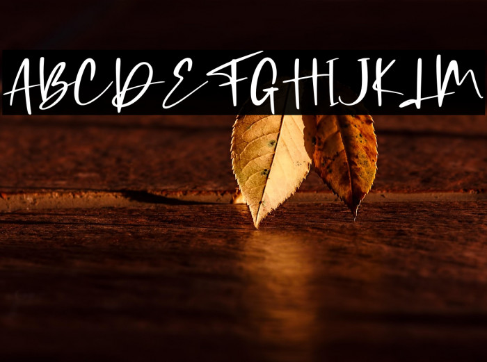 Coding Sign - Personal Use Example 1