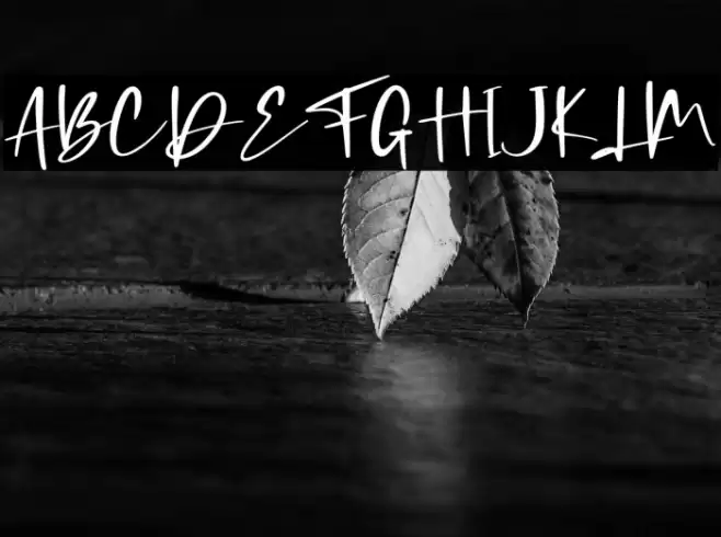 Coding Sign - Personal Use Font examples