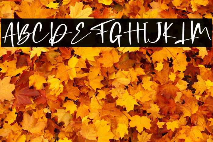 Coding Sign - Personal Use Example 3