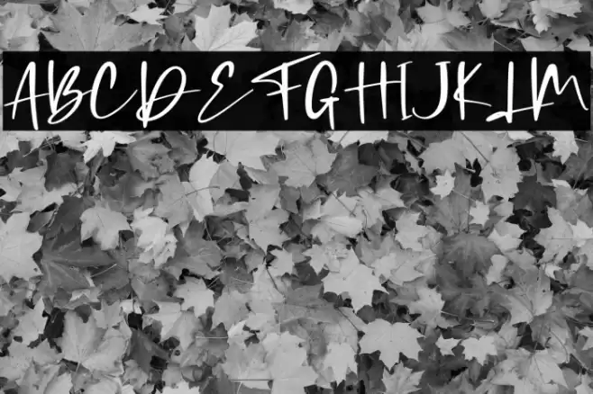 Coding Sign - Personal Use Font examples