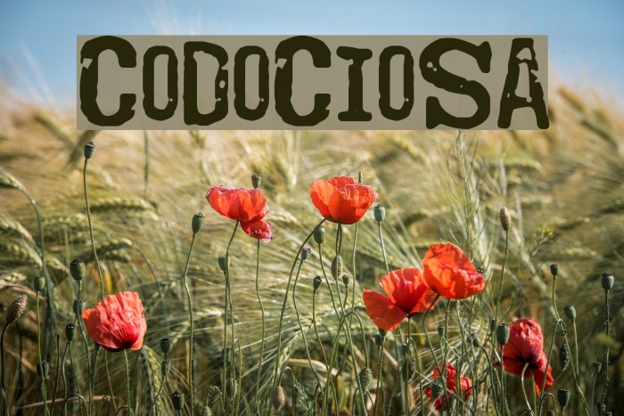 Codociosa Font examples