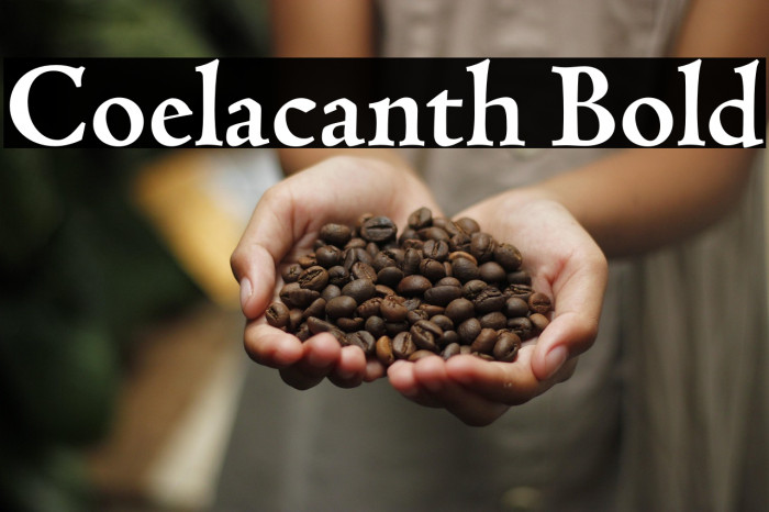 Coelacanth Bold Example 1