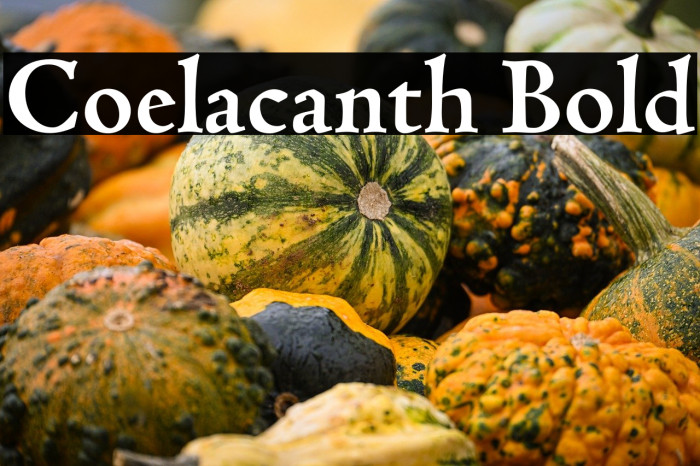 Coelacanth Bold Example 2