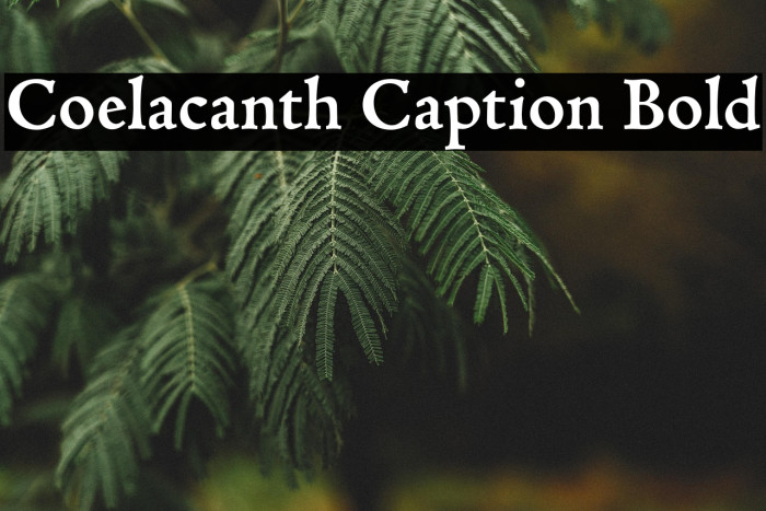 Coelacanth Caption Bold Example 3