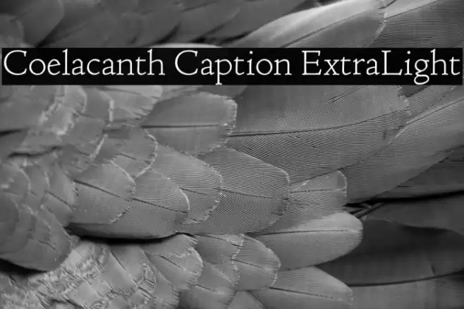Coelacanth Caption ExtraLight Fonte examples