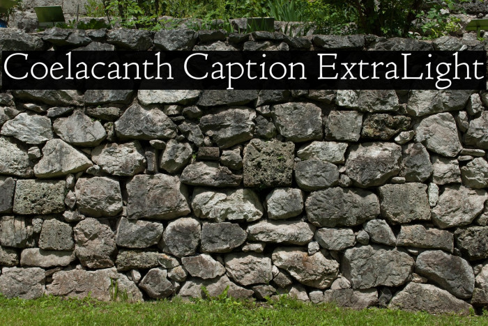Coelacanth Caption ExtraLight Example 3