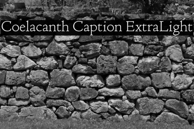 Coelacanth Caption ExtraLight Fonte examples
