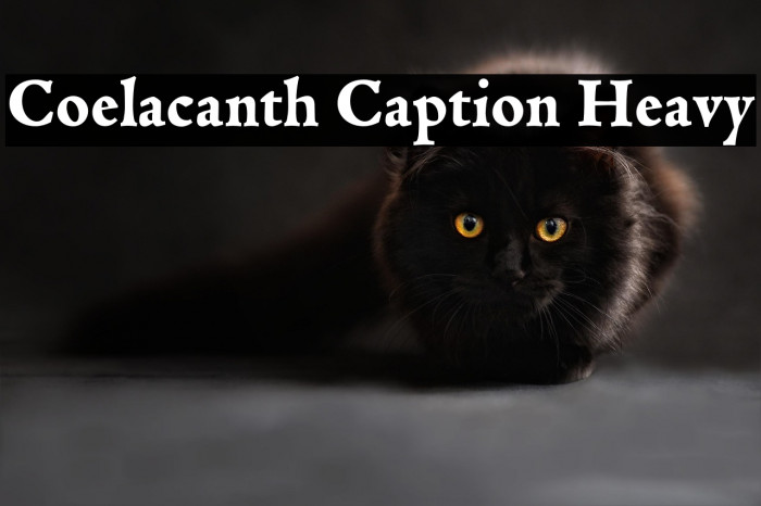 Coelacanth Caption Heavy Example 1