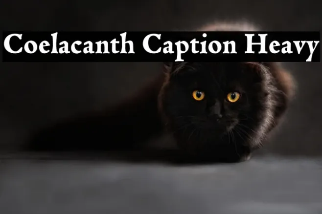 Coelacanth Caption Heavy Example 1