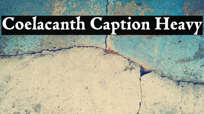 Coelacanth Caption Heavy Example 2