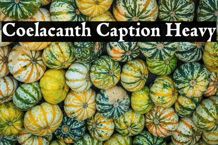 Coelacanth Caption Heavy Example 3